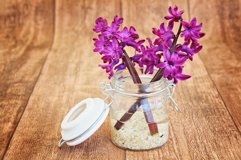 Wildflower Bouquets