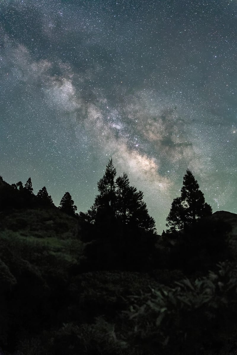 Redwood National Park, California